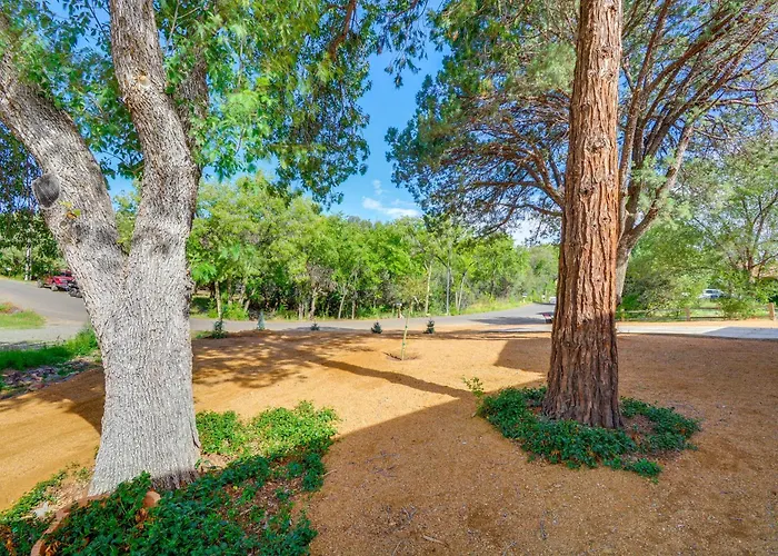 Dog Friendly! Peaceful Wooded Retreat In *